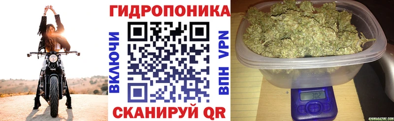 Магазины продажи наркотиков Тулун КОКАИН  Меф  ГАШИШ 