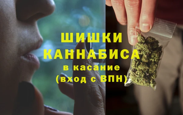 мет Новозыбков