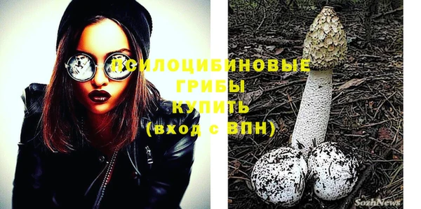 стафф Новокубанск