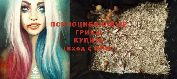 прущая мука Новодвинск