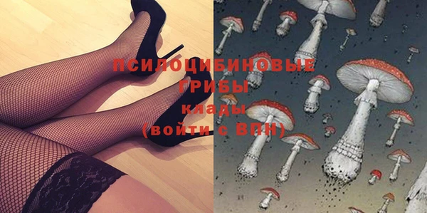 мет Новозыбков