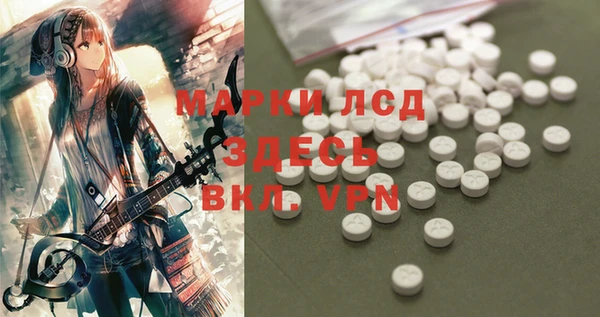 мет Новозыбков