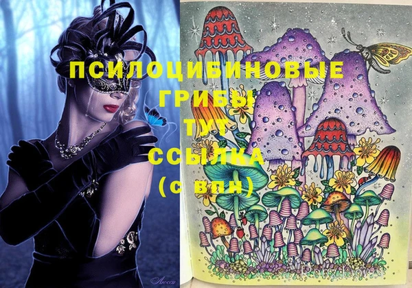 прущая мука Новодвинск