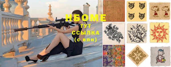 стафф Новокубанск