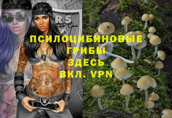 прущая мука Новодвинск