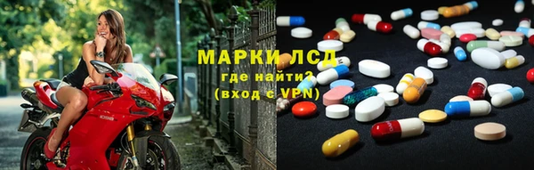 стафф Новокубанск