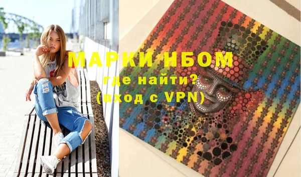 стафф Новокубанск